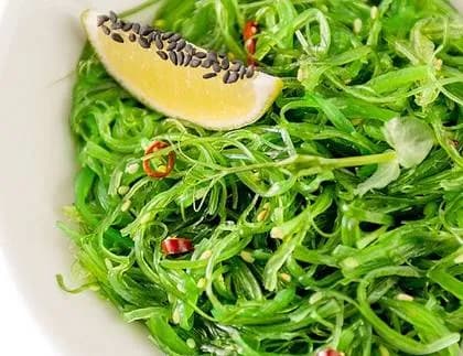 Goma Wakame