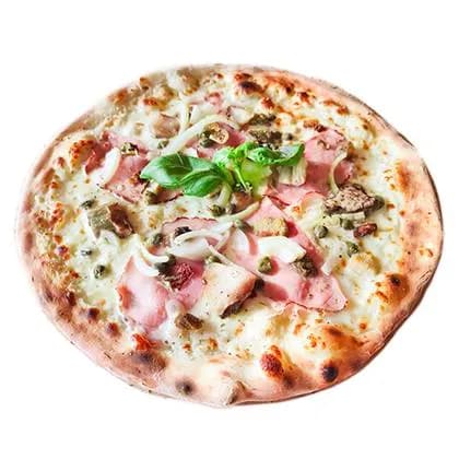 Forest Treasure 23cm