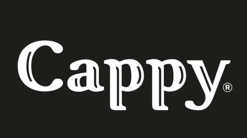 Cappy jabłkowy 330ml