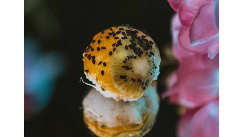 Temari z Pieczonym Łososiem