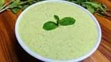 Mint Raita