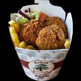 32- Falafel Duży Box