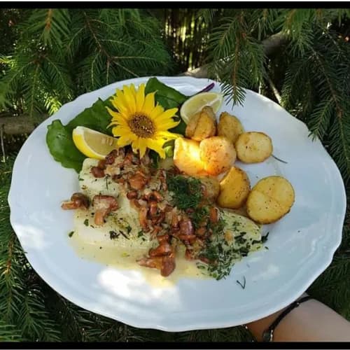 Sandacz w sosie śmietanowym z grzybami