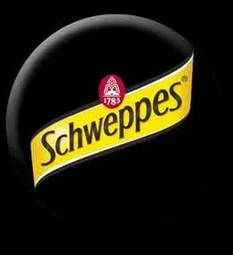 Schweppes 0,5l