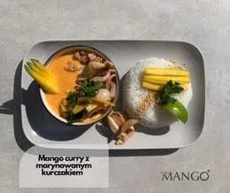 Mango Curry (podane z ryżem)