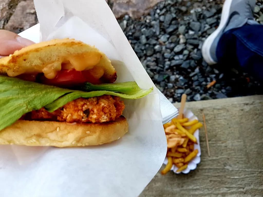 THE BOY AND THE BURGER