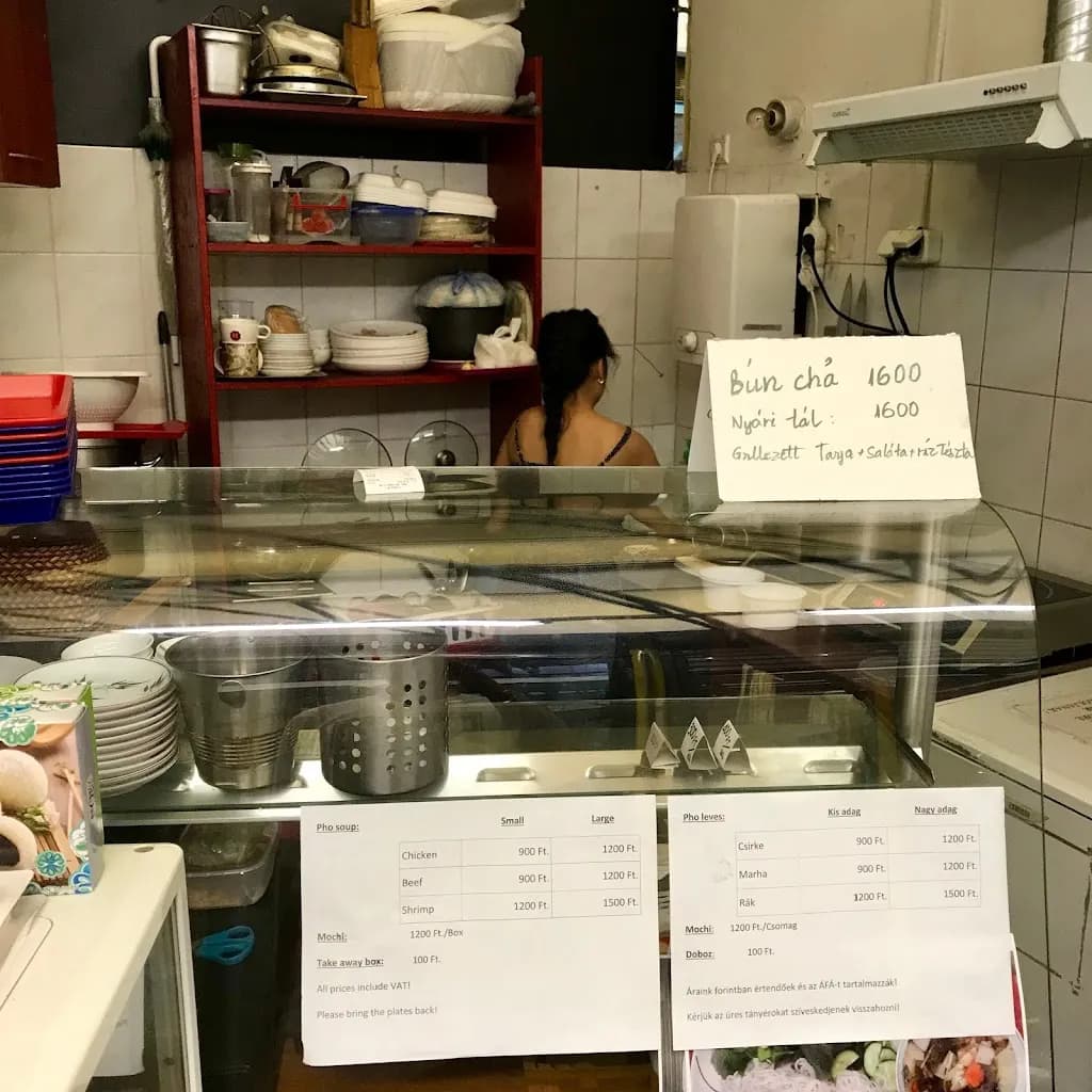 Vietnámi Pho levesező