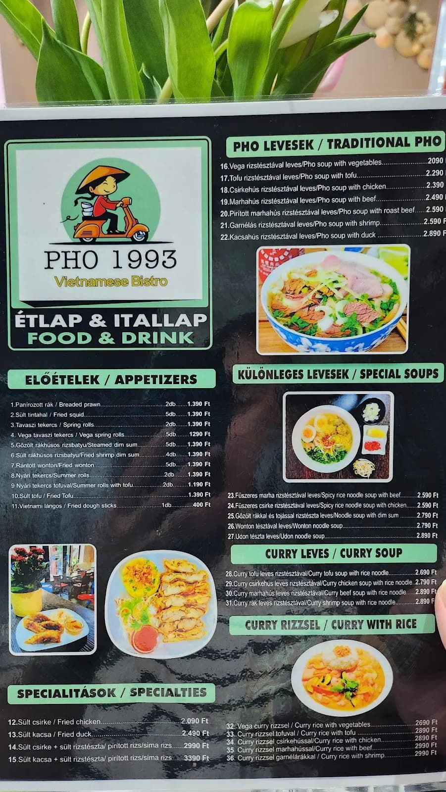 PHO1993