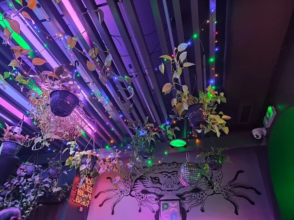 People of Real Narnia