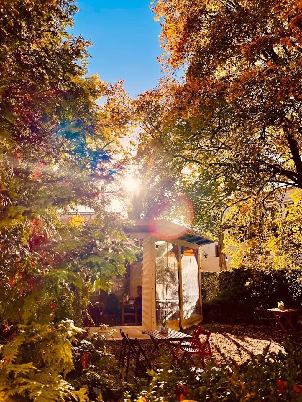 BLUSZCZ - Pizza i Wino