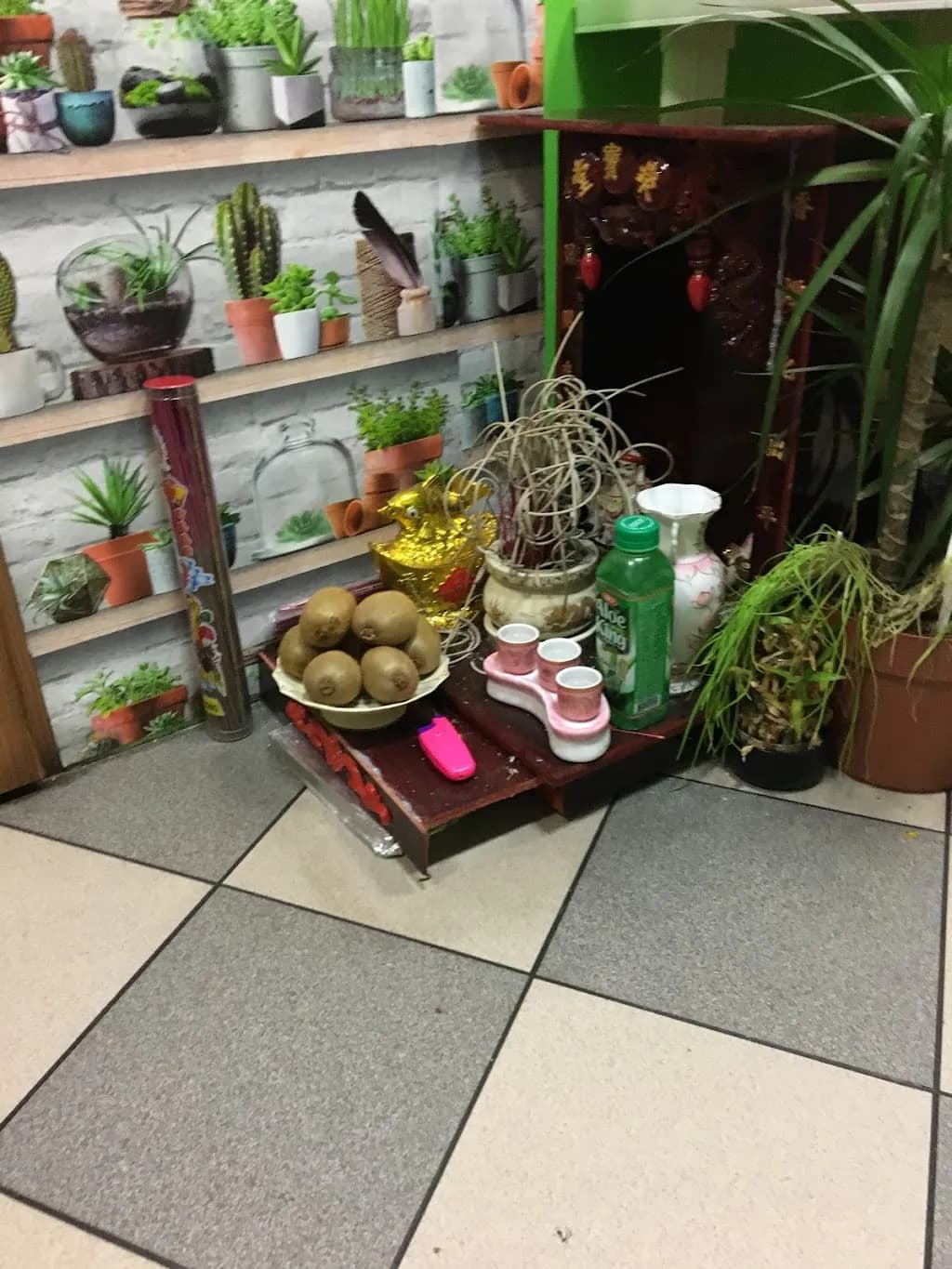 Asia Wok - kuchnia tajska