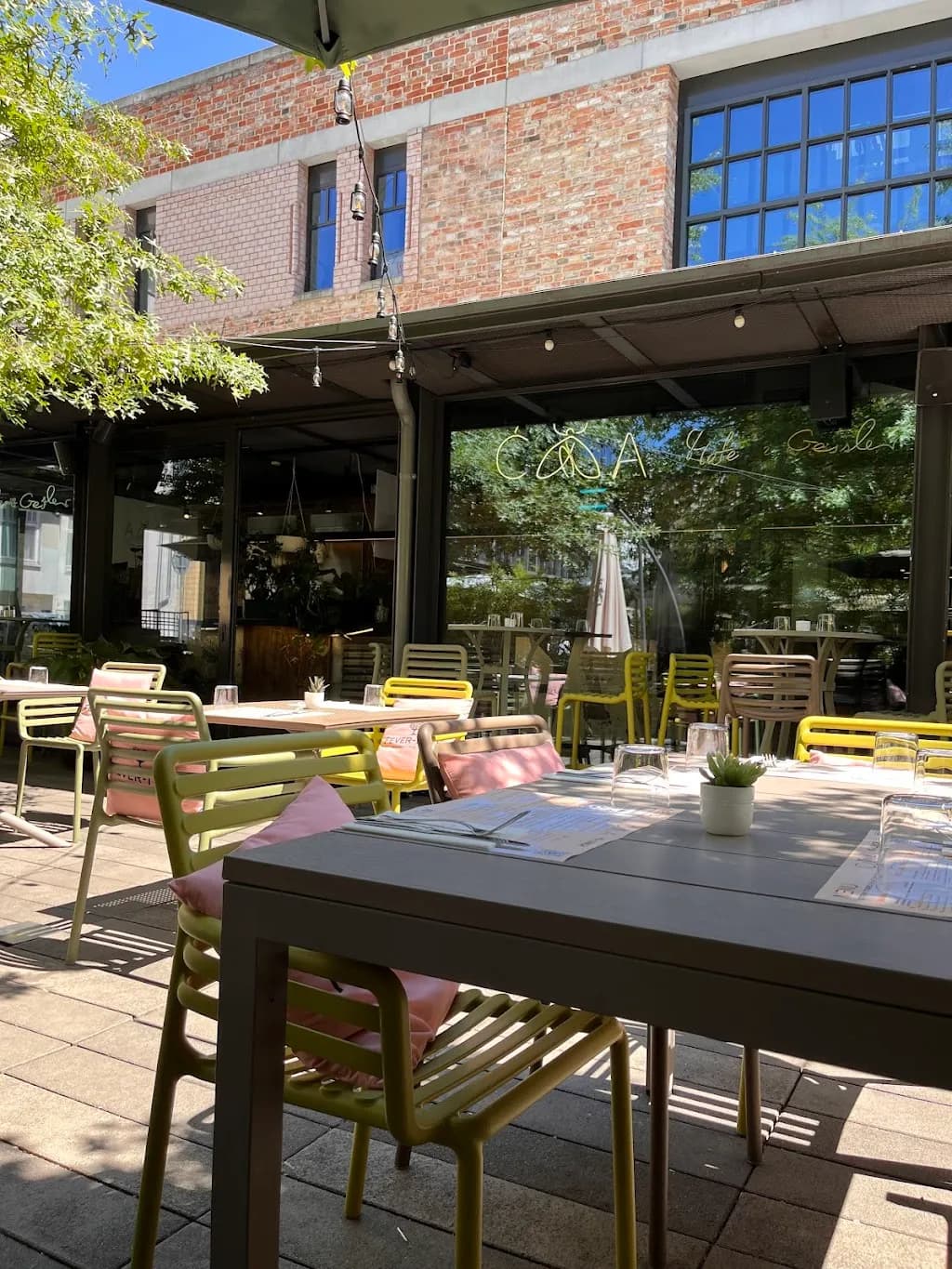 Ćma by Mateusz Gessler