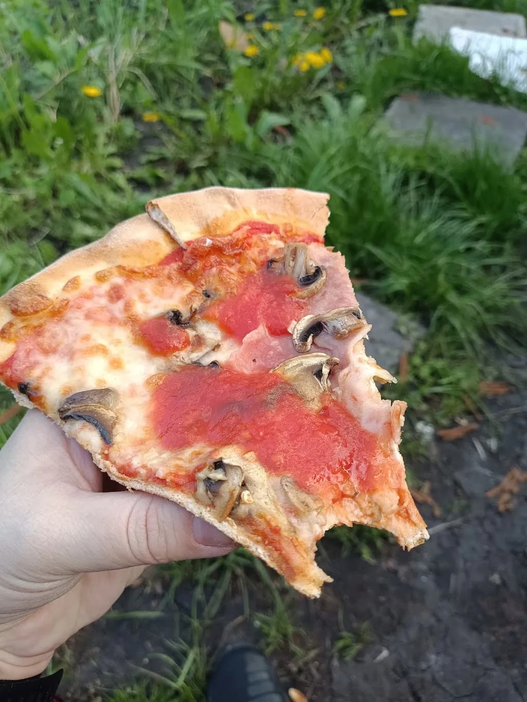 Pizza & More to Door Polkowska