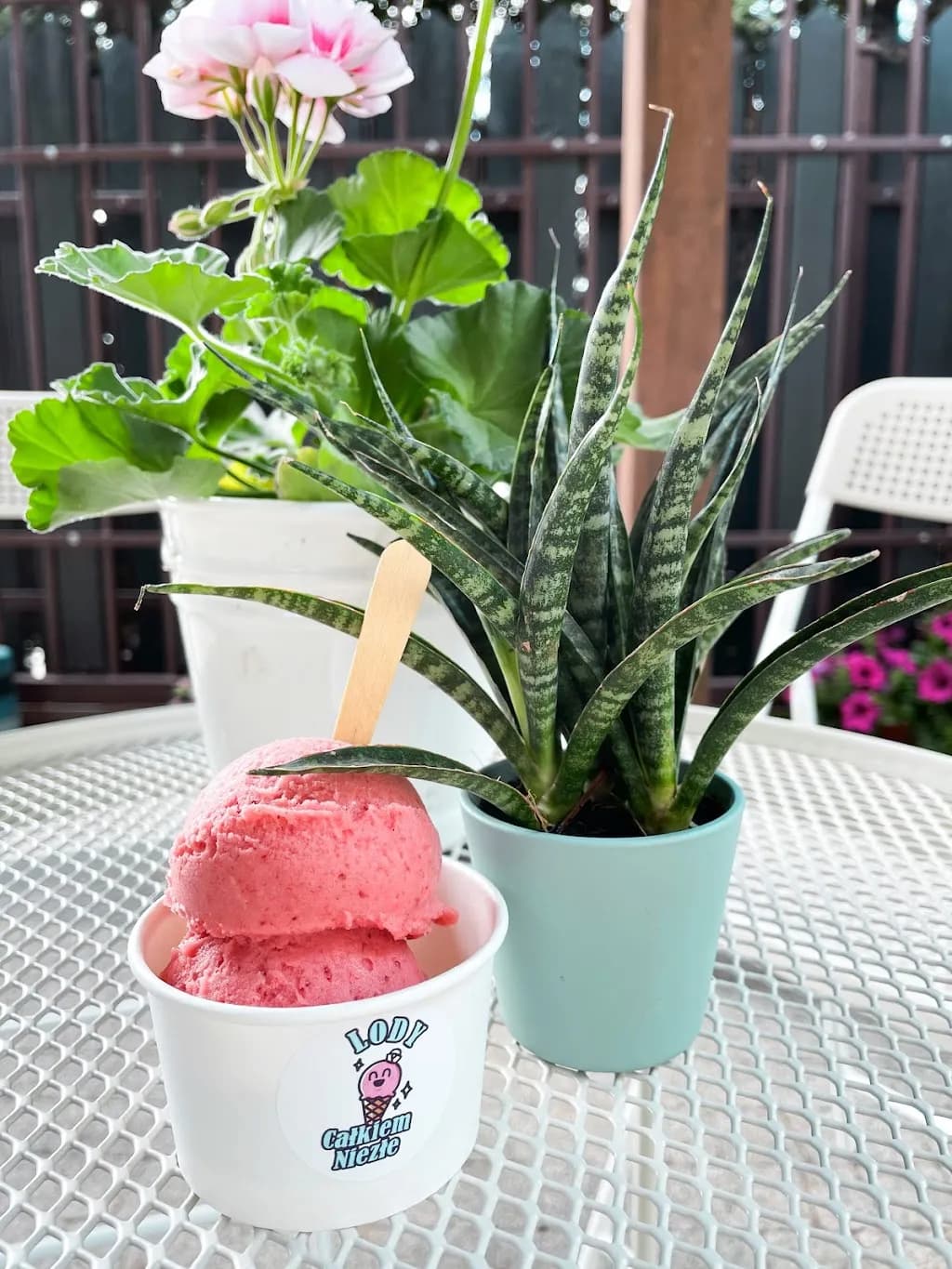 Lody Całkiem Niezłe