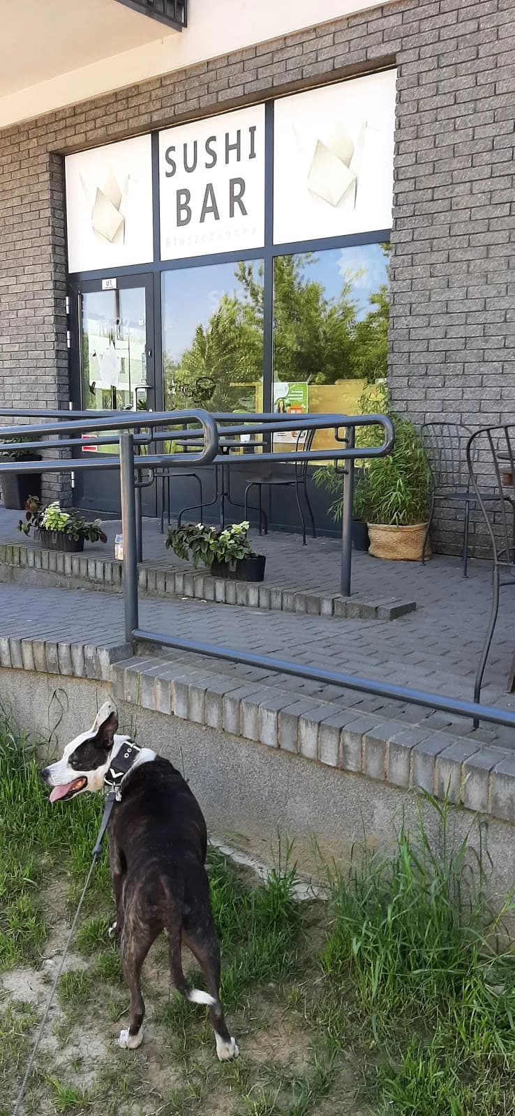 "Sushi Bar Bluszczańska" Sushi Mokotów