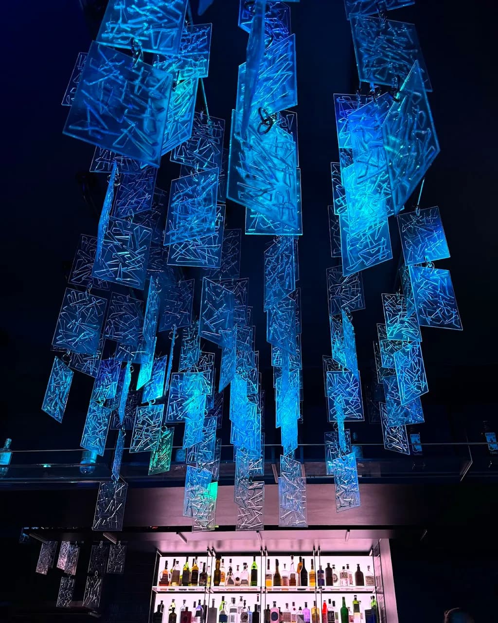 GiGi gin tonic raw bar