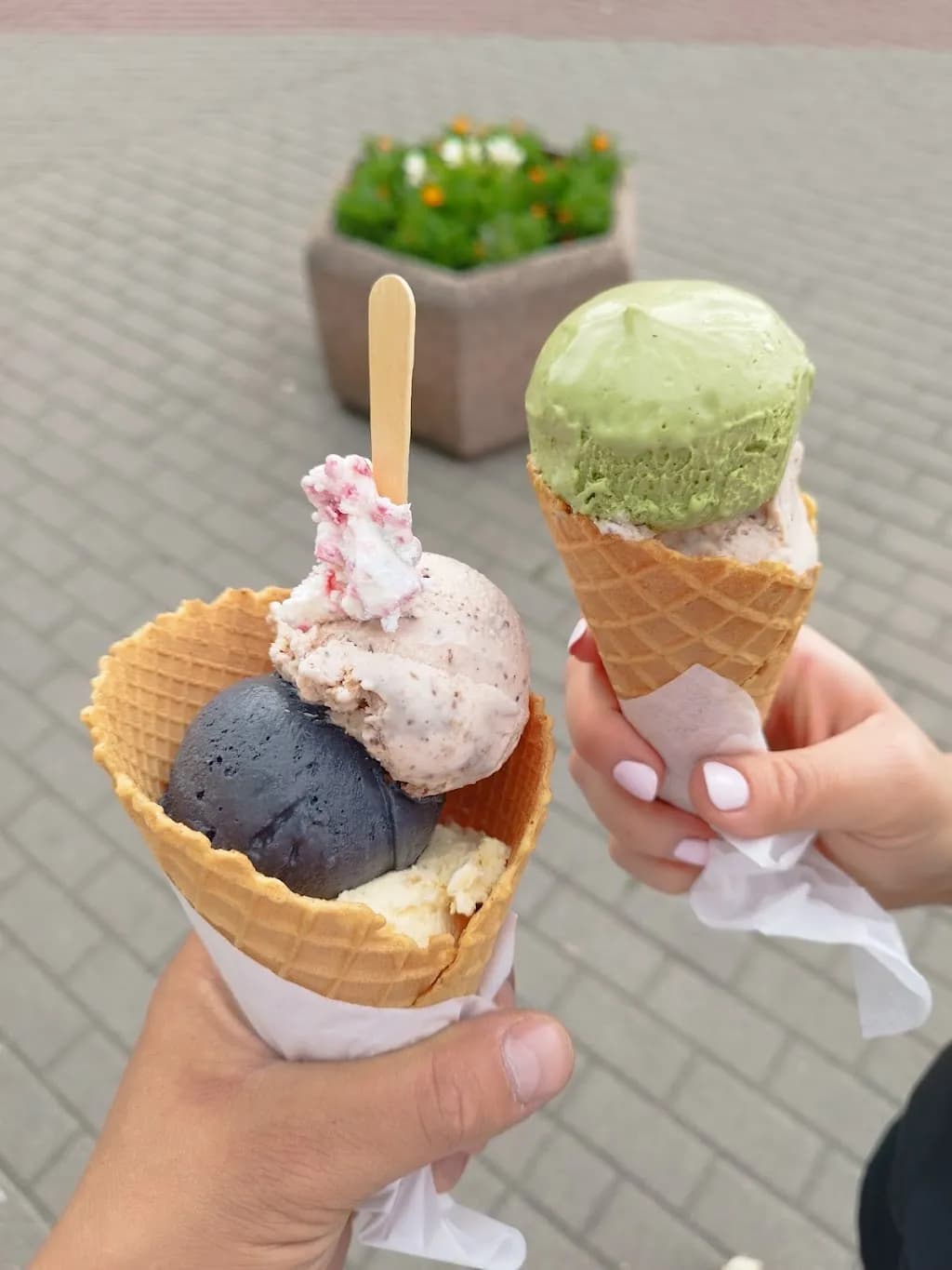 Kuncer – lody autorskie