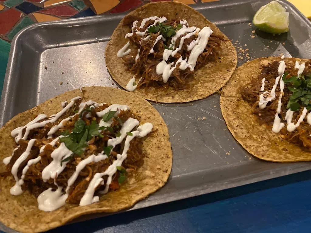 Blue Cactus | Fabryka Norblina