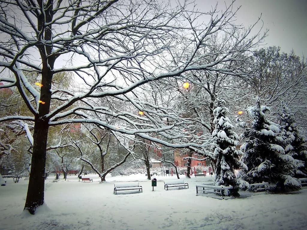 Kawiarnia Chomiczówka