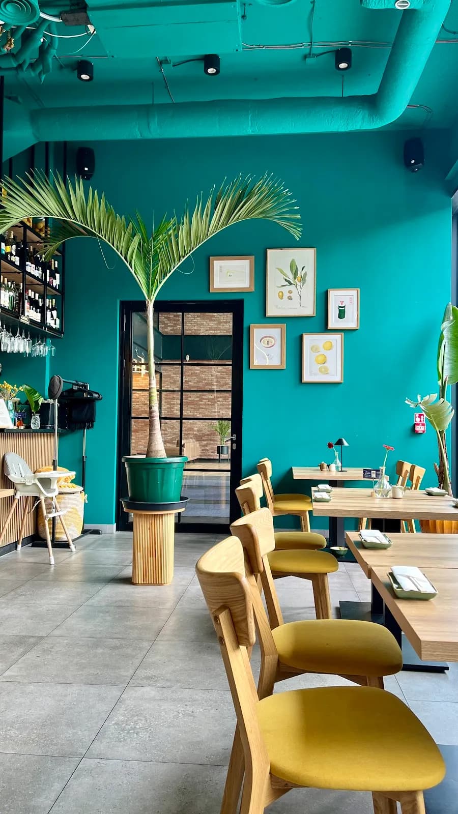 YUZU SUSHI Restauracja Azjatycka Warszawa | Lunch Warszawa (12:00-16:00)