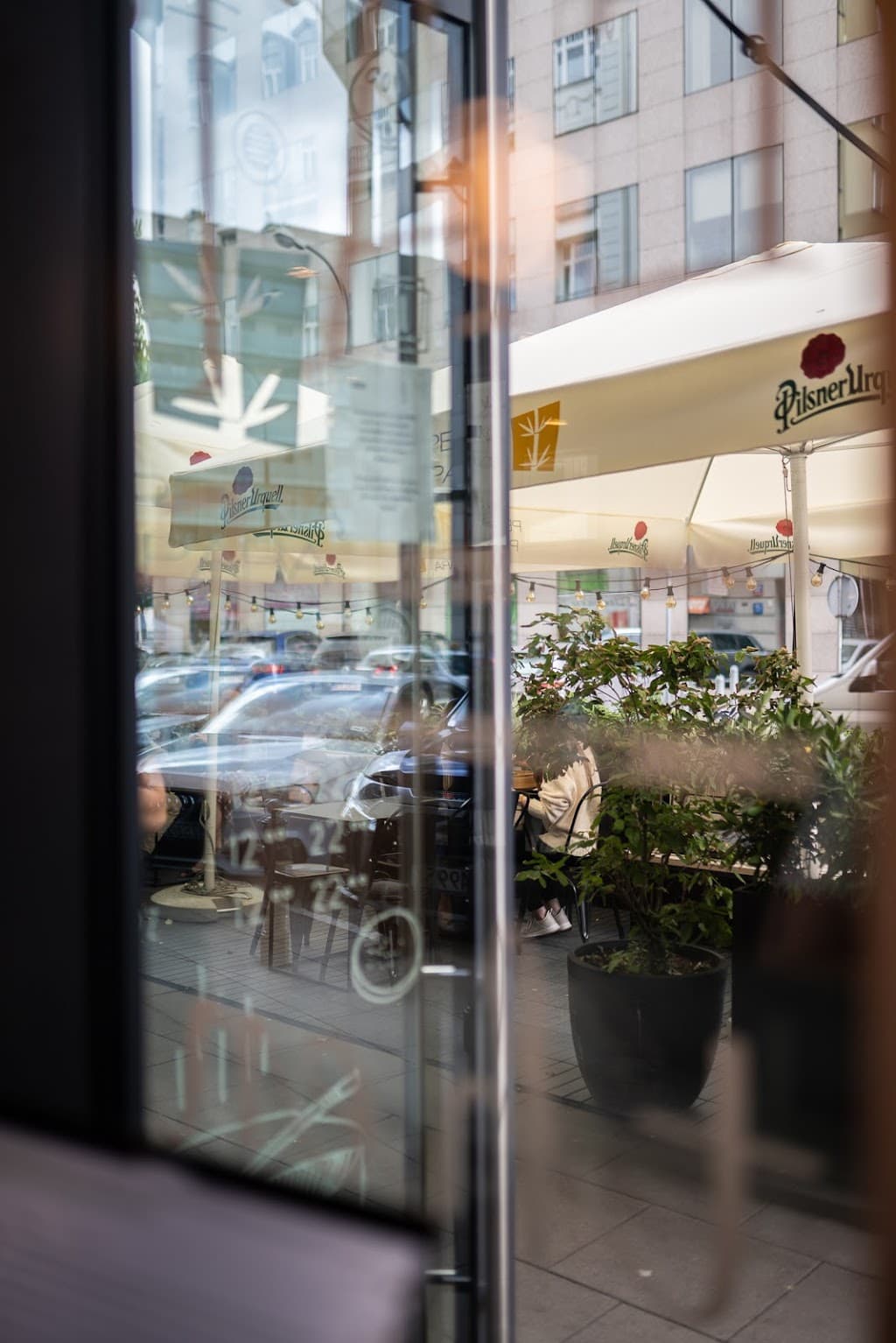 Pełną Parą na Siennej