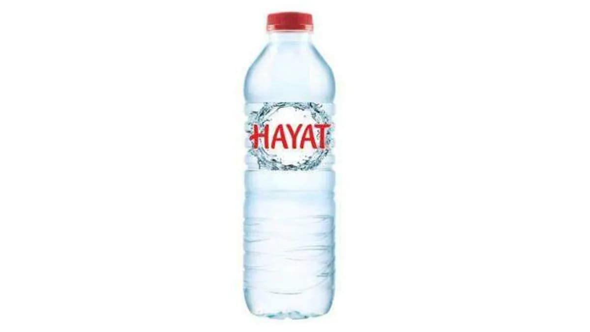 Hayat Wasser Still 0,5 l