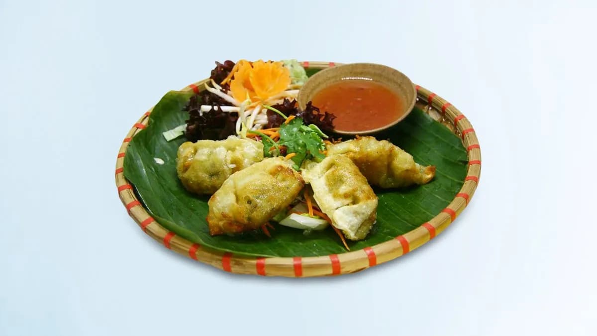 S13. Vegetarische Dumplings