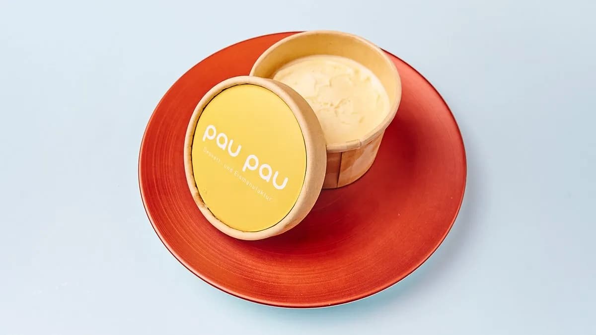 paupau Vanilla Ice Cream 160g