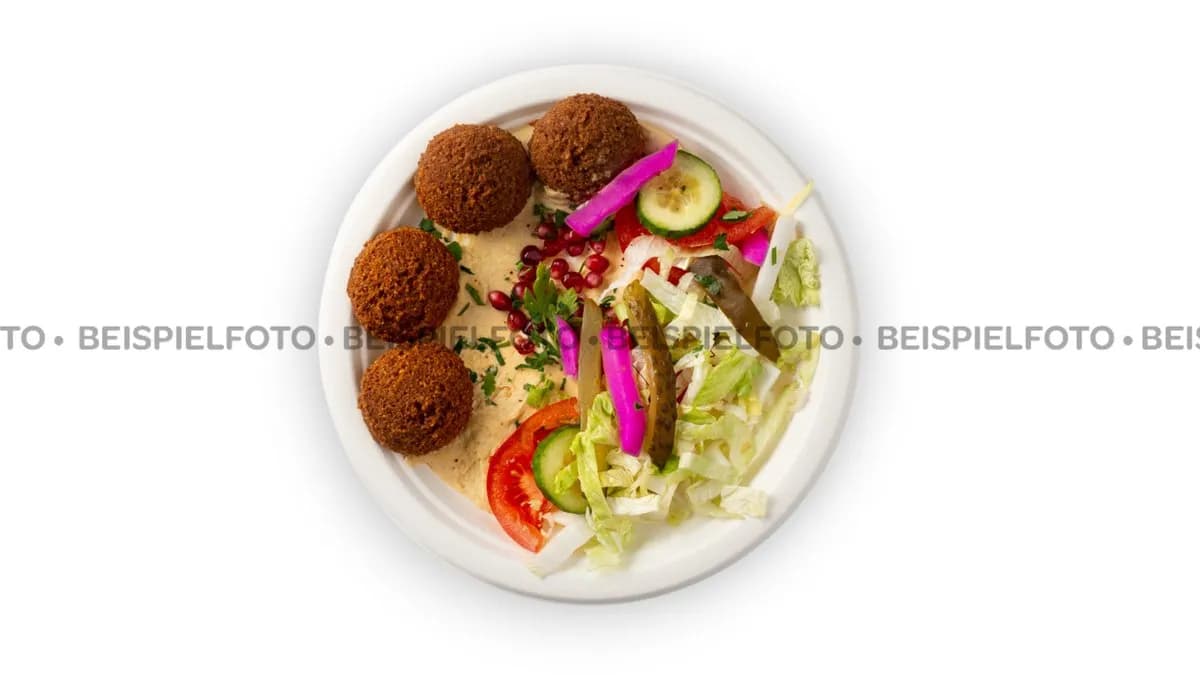 Falafel Plate