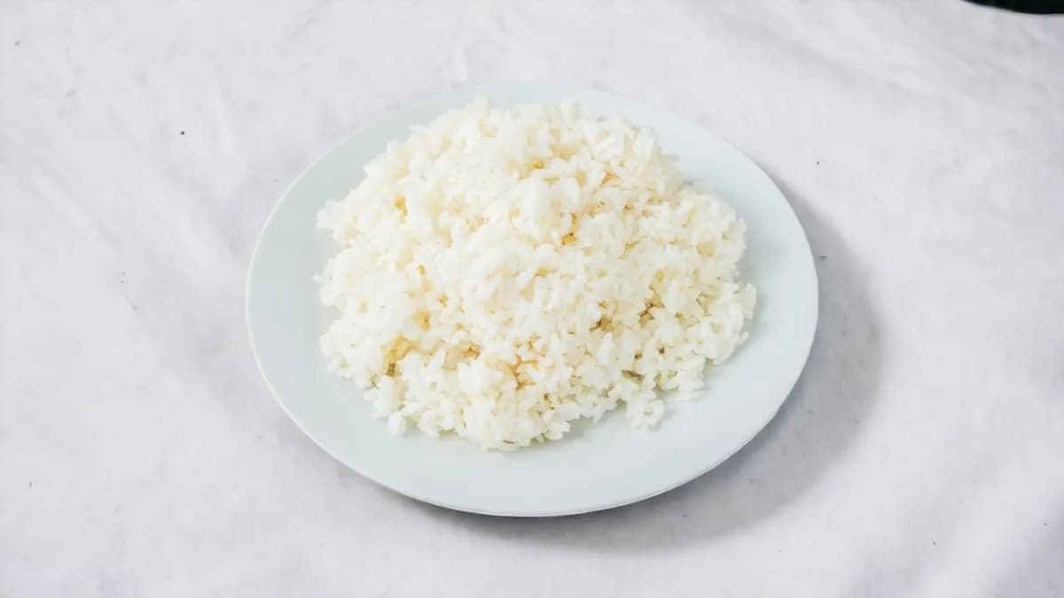 508 Extra rice