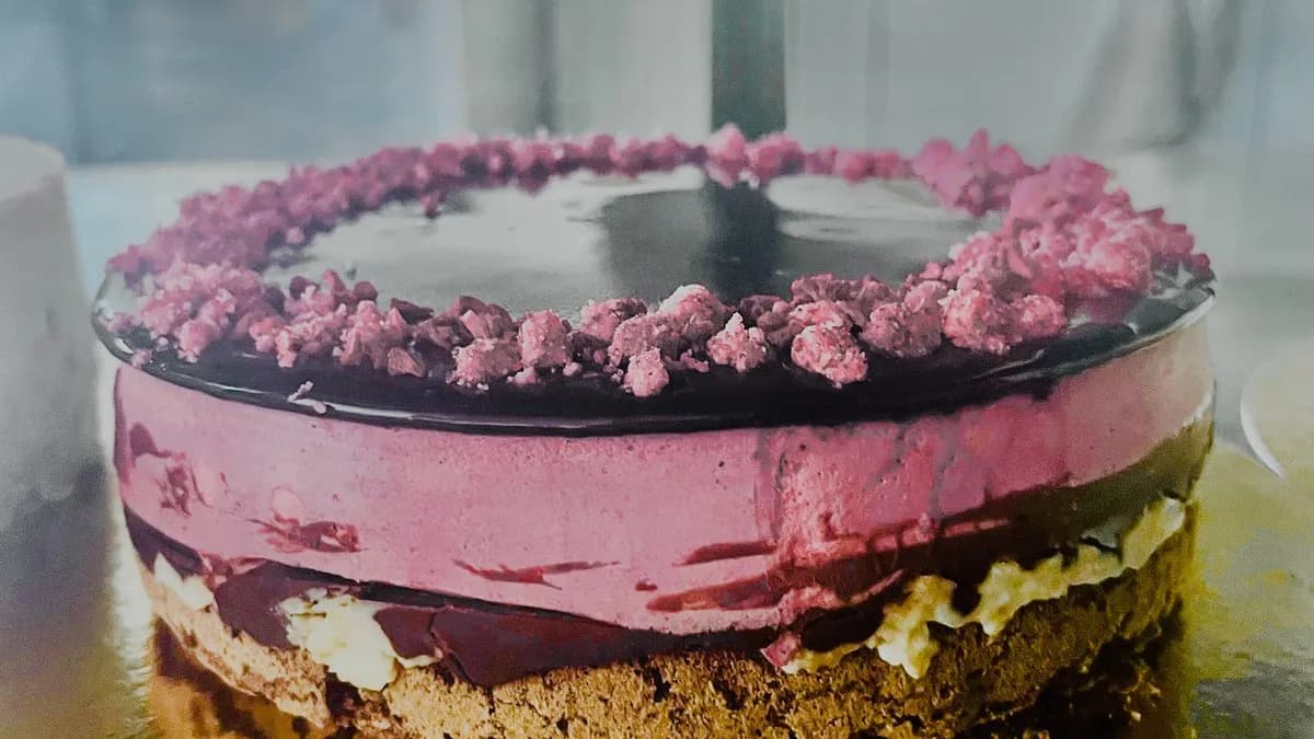 Nagyon csokis - áfonya-szeder torta ( 8 szelet )