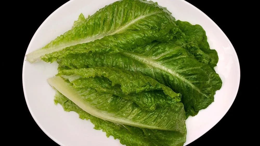 Zöldsaláta levél batyuhoz