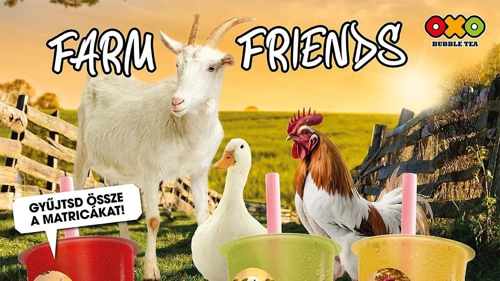 Farm Friends- Cesar