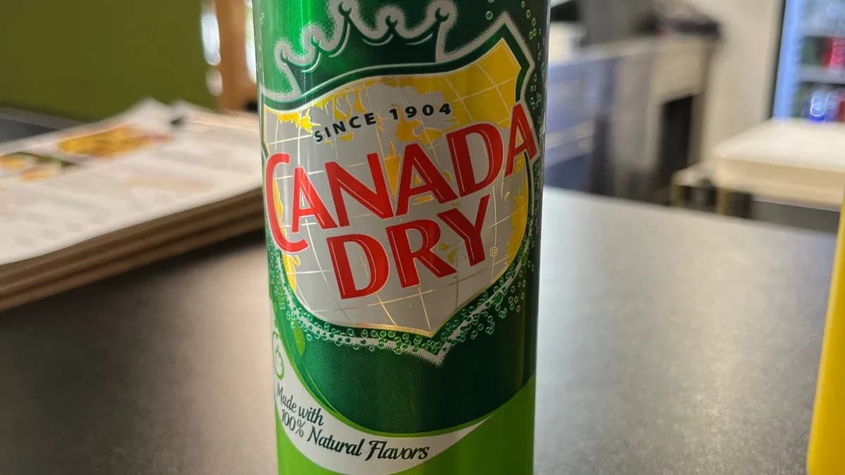 Canada Dry szénsavas üdítőital 330ml