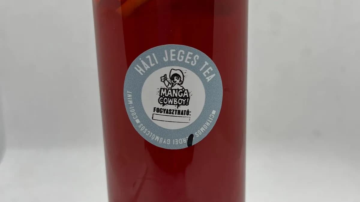 Erdeigyümölcsös házi jegestea 500ml