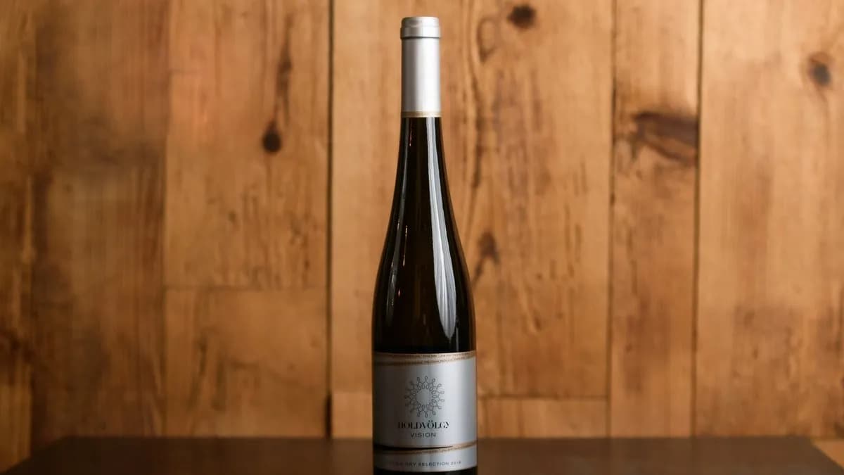 Holdvölgy - Vision 2019