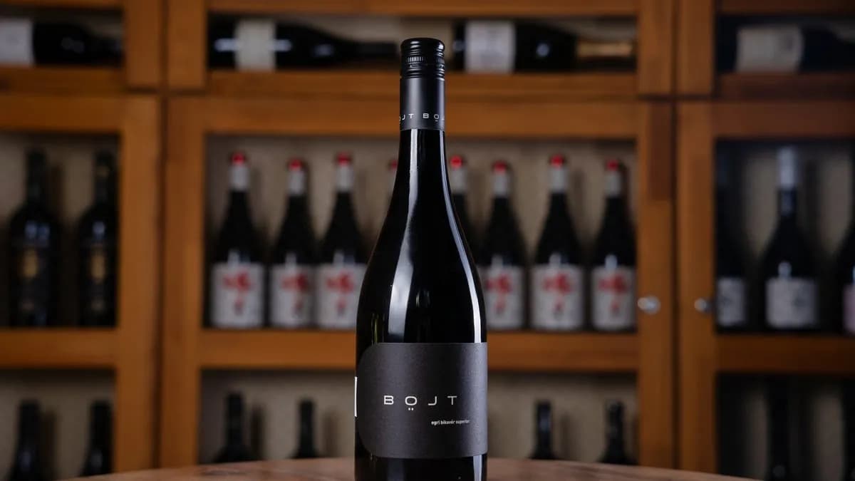 Böjt - Bikavér 2021