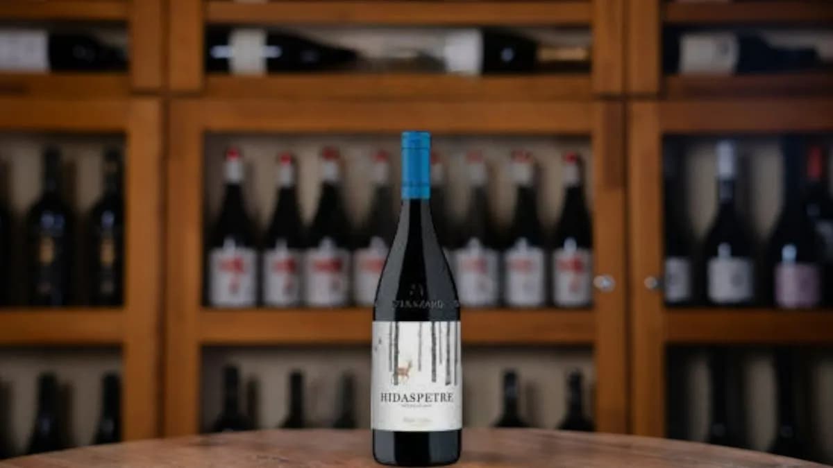 Vida Péter - Hidaspetre 2018