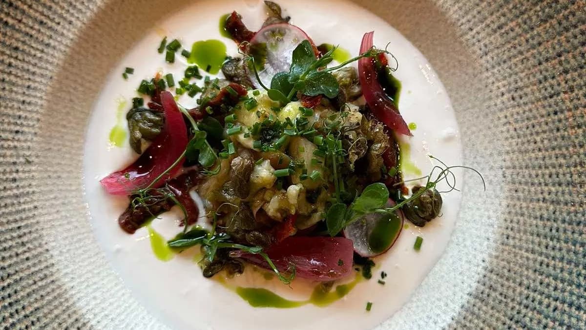 Égetett padlizsán,labneh,feta