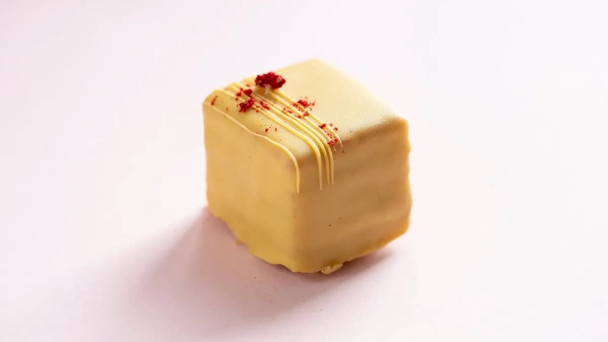 MIGNON Hélène (vegán)