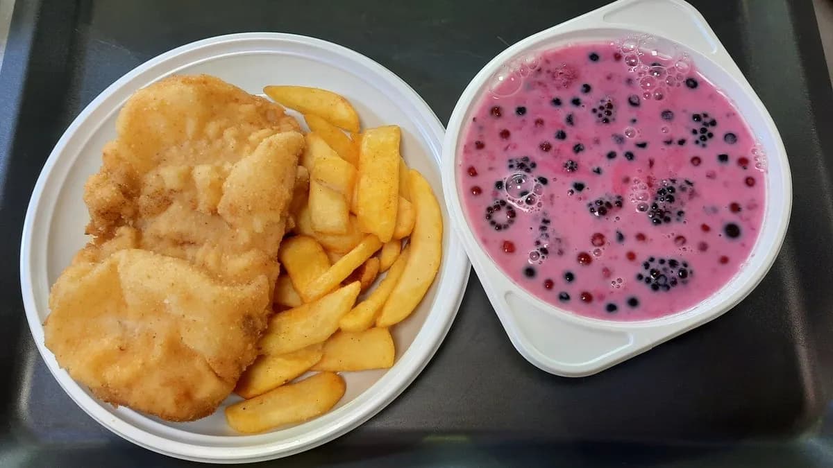 Rántott csirkemell+köret+erdei gyümölcsleves