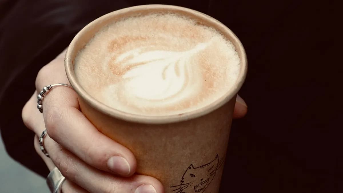 Cafe latte 3 dl növényi tejből