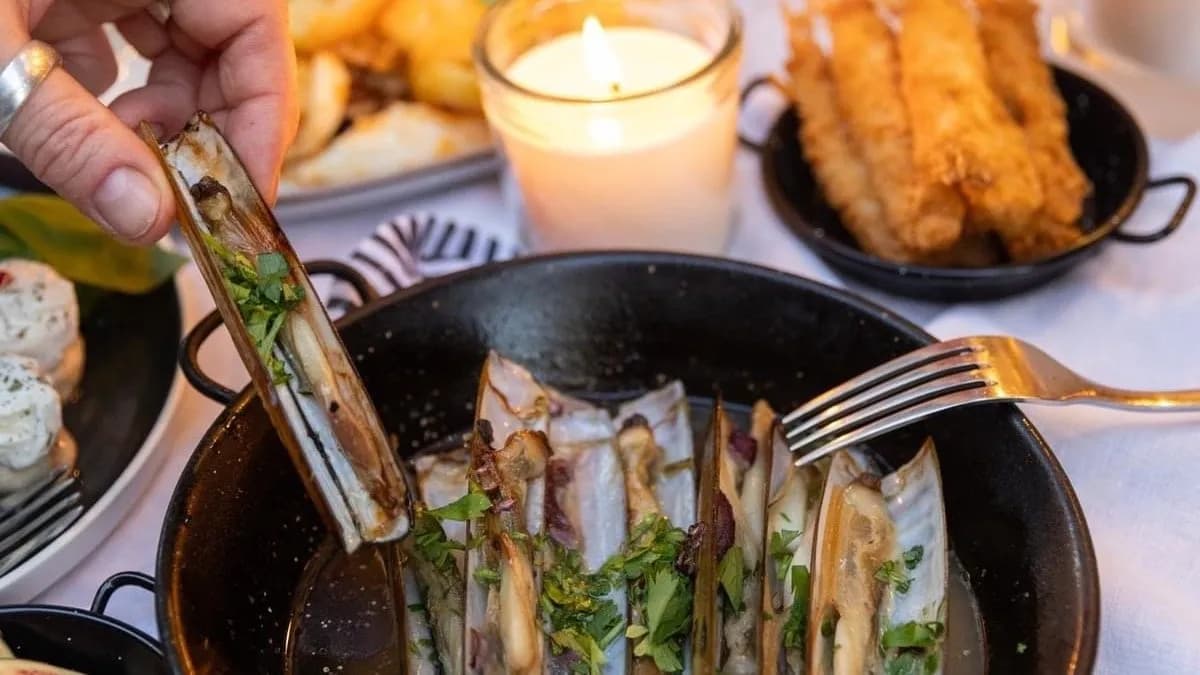 Borotvakagylo ( 8db)