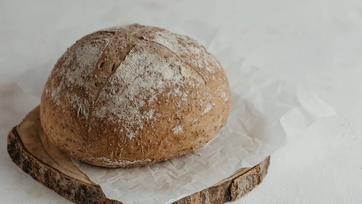 Chia magos cipó 480 g