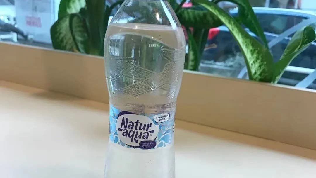 Naturaqua- buborékos víz 500ML