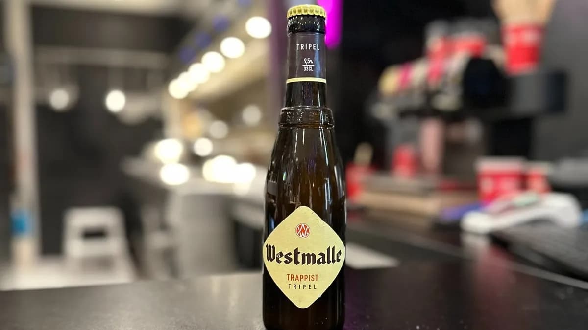 Westmalle tripel (9,5 %)