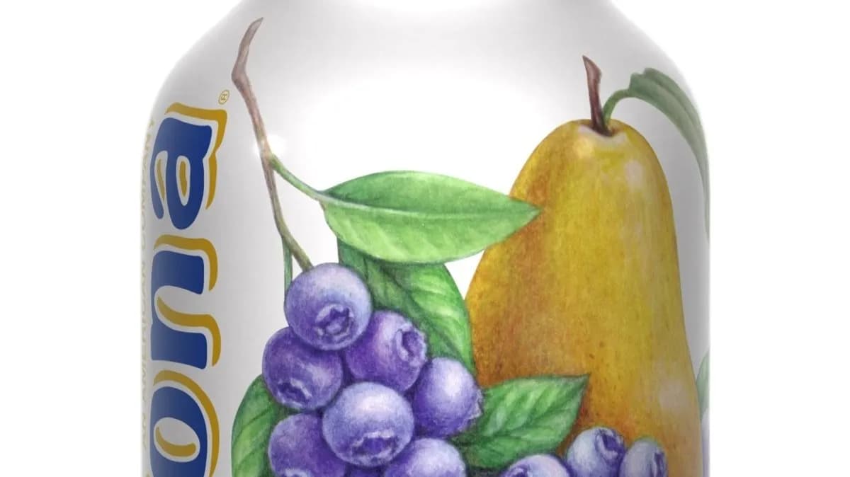 AriZona tea - áfonya, 450 ml