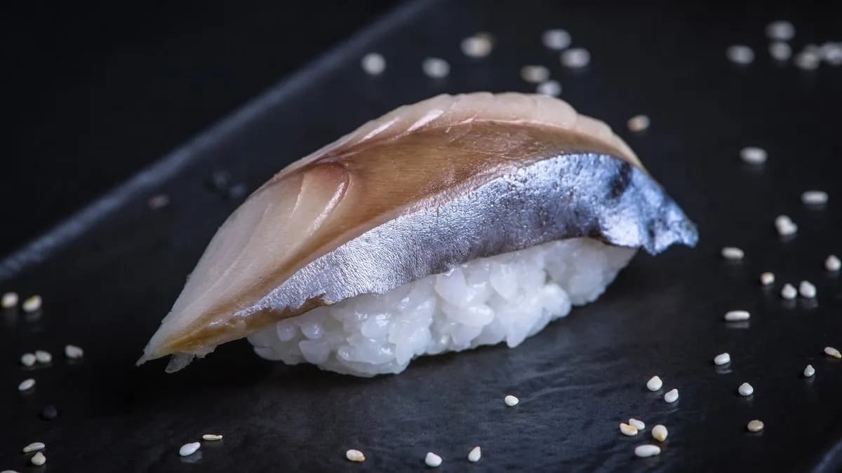 SABA nigiri