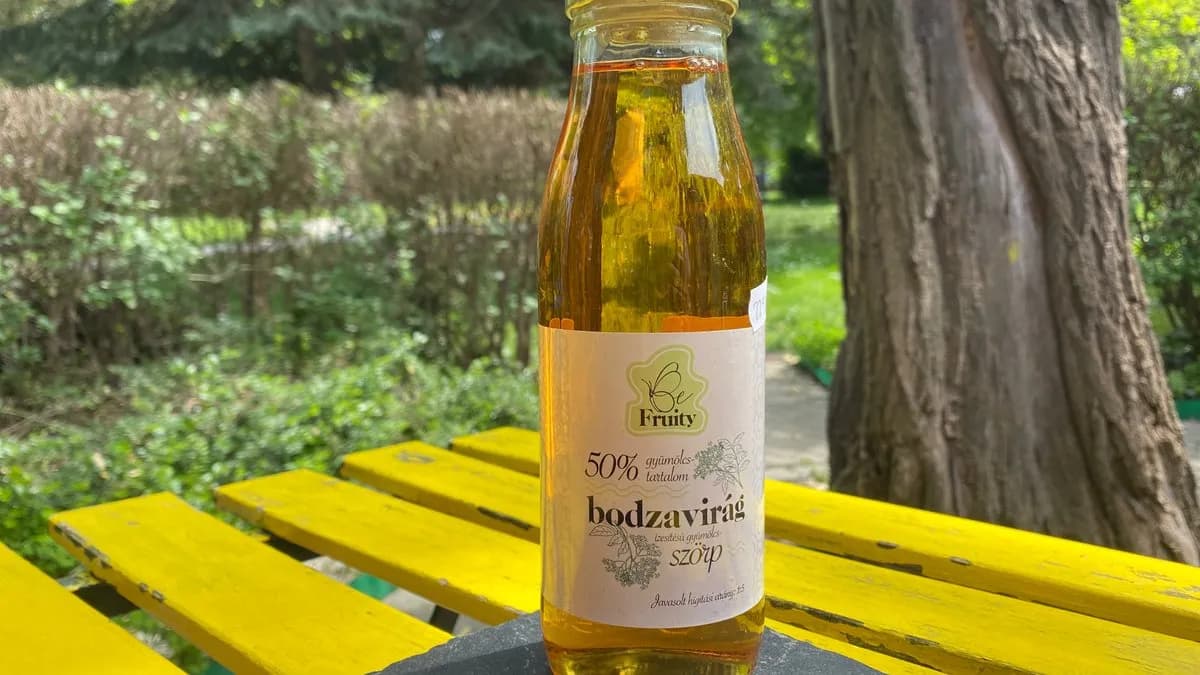 Breier házi szörp - bodza