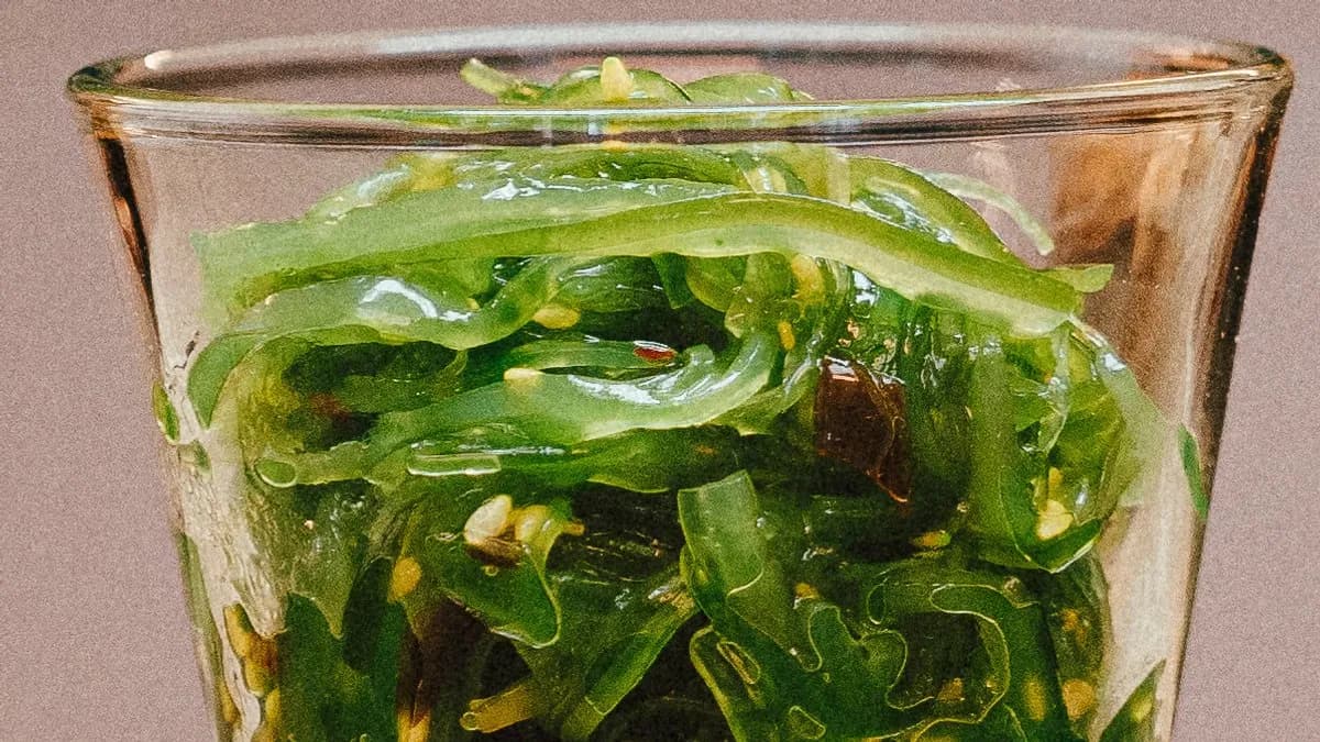 Wakame alga saláta